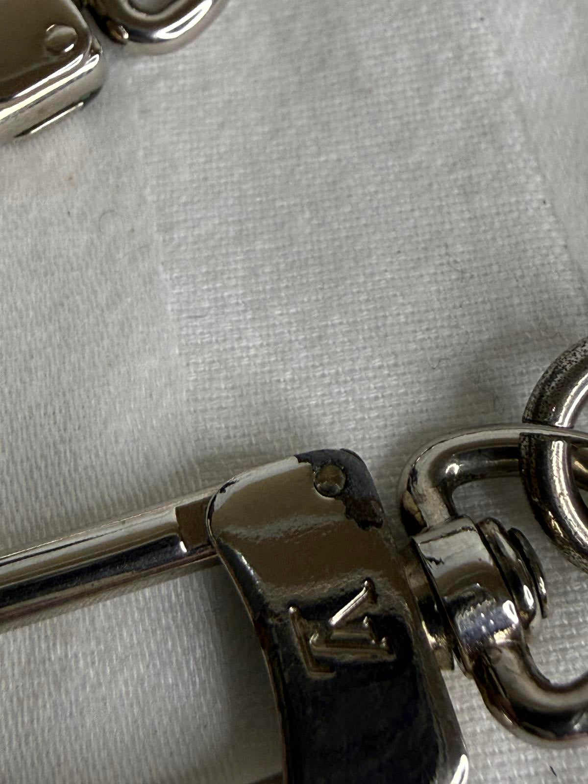 Louis Vuitton Silver Wallet Chain