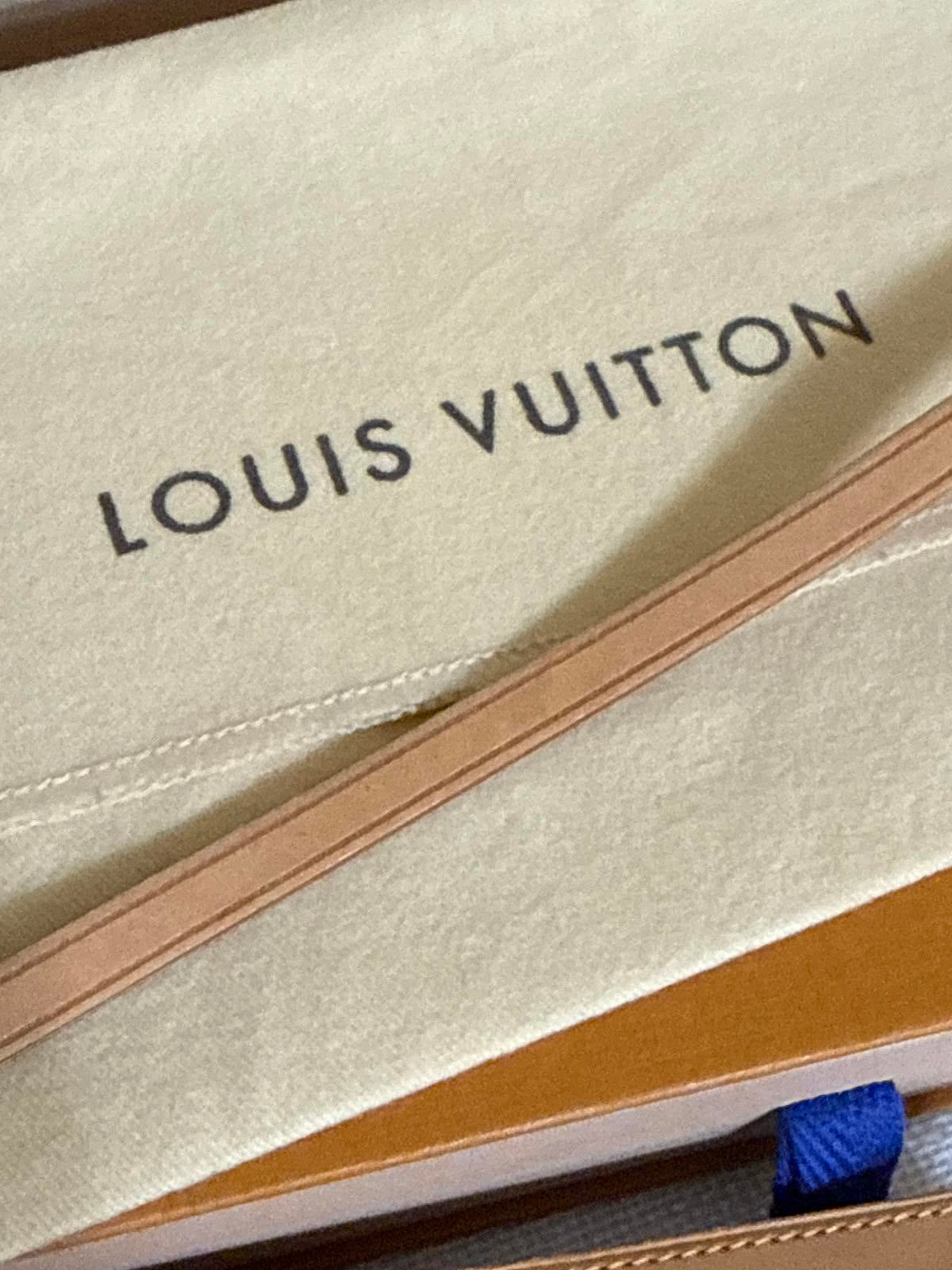 Louis Vuitton Cabas Vechetta Leather Pochette