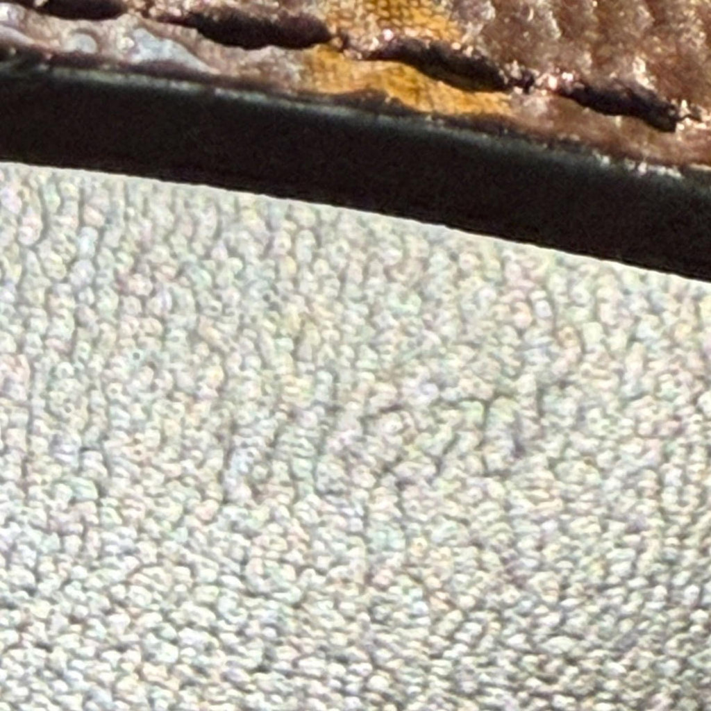 Louis Vuitton Dragonne Monogram Keychain