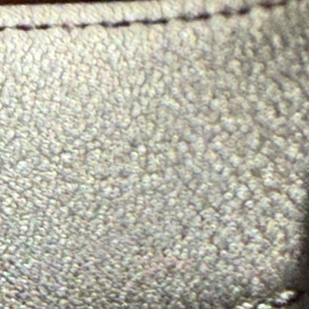 Louis Vuitton Dragonne Monogram Keychain