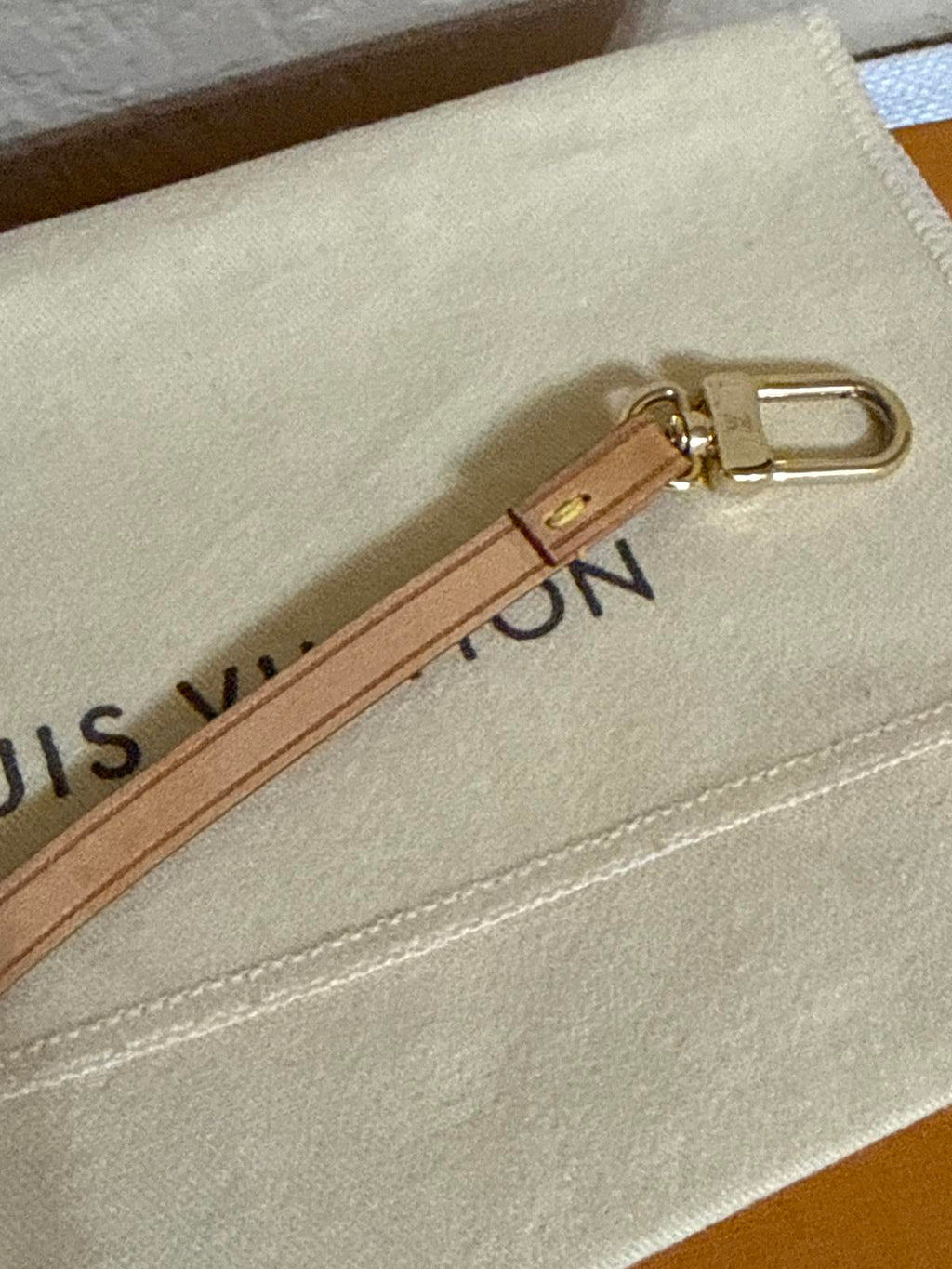 Louis Vuitton Cabas Vechetta Leather Pochette