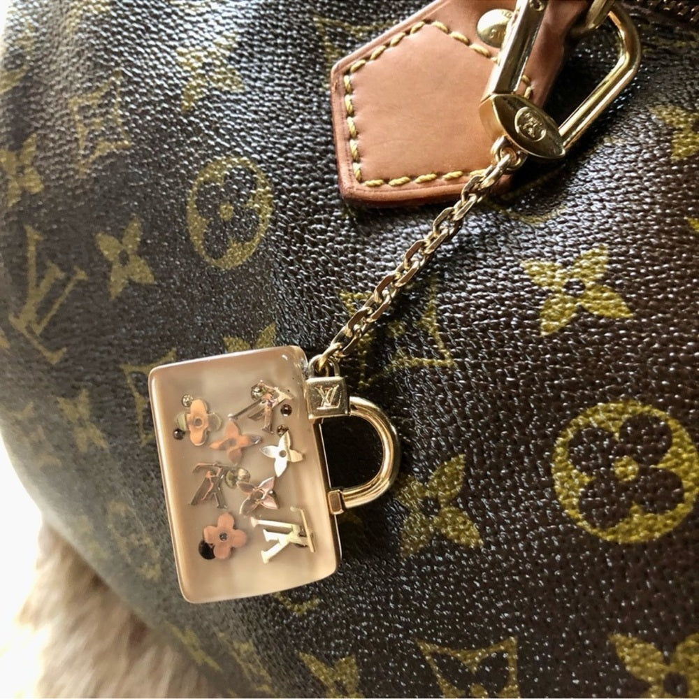 Louis Vuitton Inclusion Speedy Bag Charm