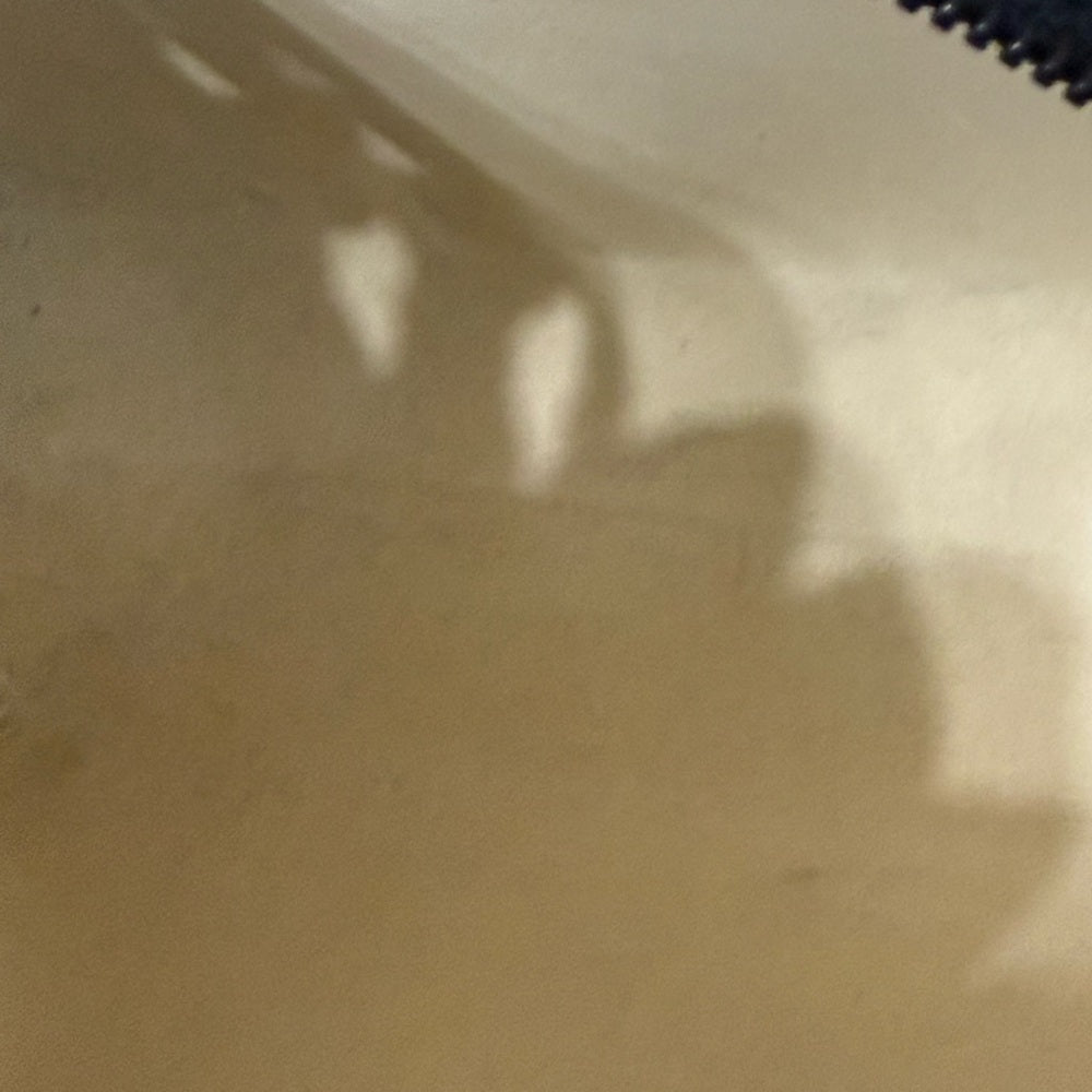 Dior Blue and White Monogram Pouch Duo