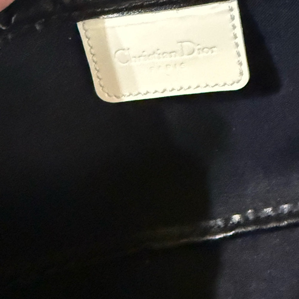 Dior Blue and White Monogram Pouch Duo