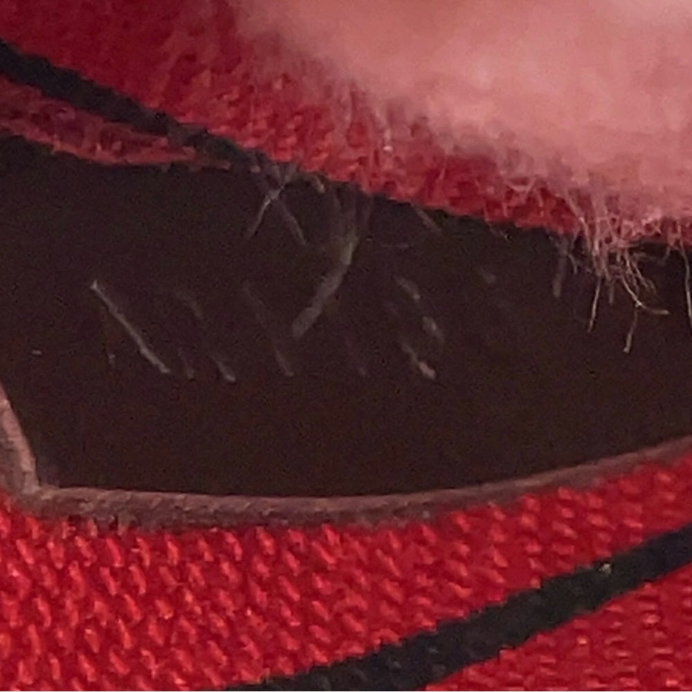 Louis Vuitton Damier Ebene Neverfull MM Pochette