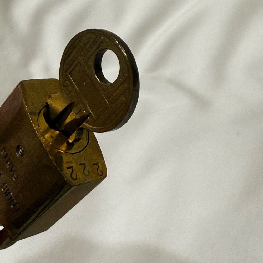 Louis Vuitton Rare #222 Lock and Key Set