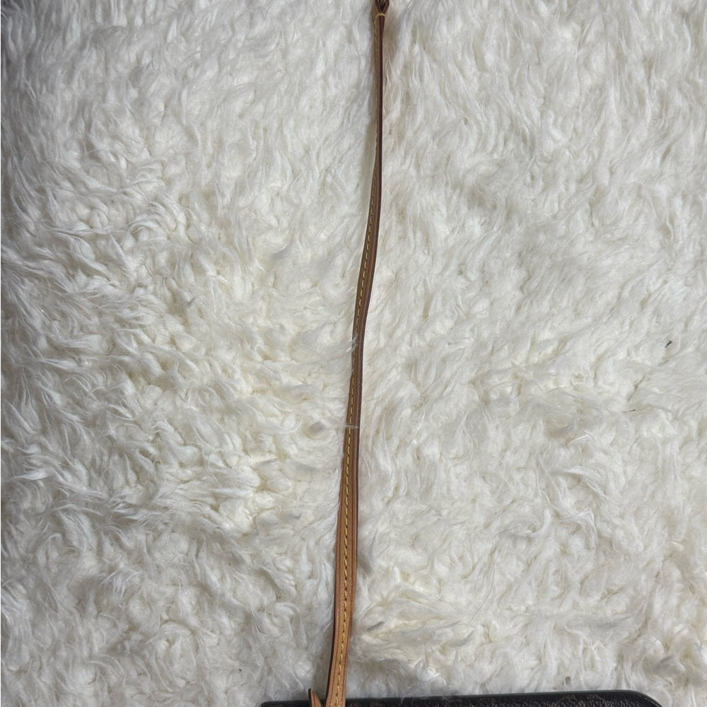 Louis Vuitton Monogram Neverfull Pochette