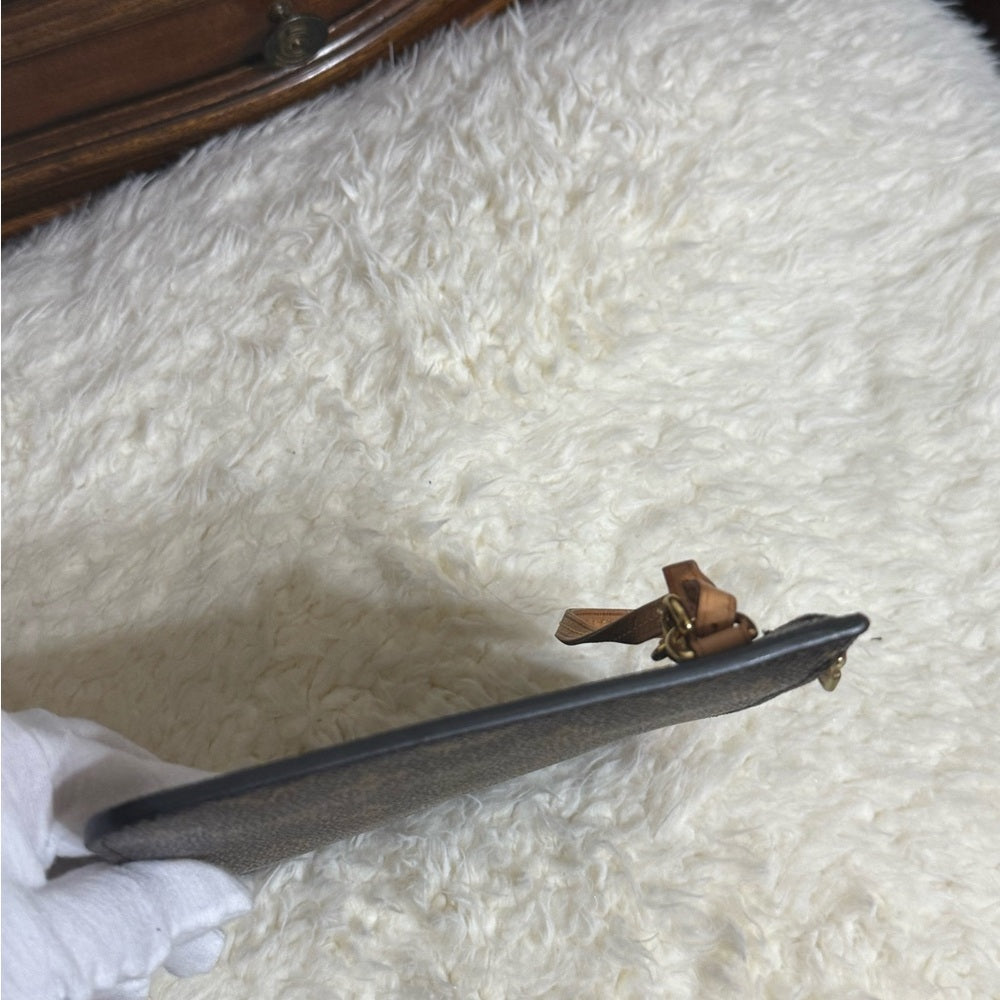 Louis Vuitton Monogram Neverfull Pochette