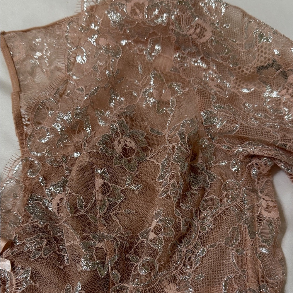 New Victoria's Secret Blush Lace Long Sleeve Top