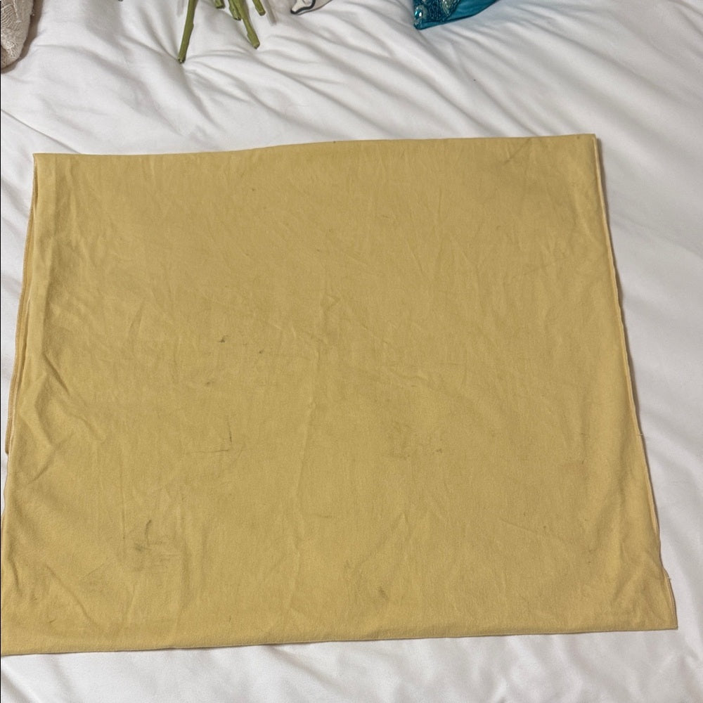 Louis Vuitton XL Flap Dust Bag