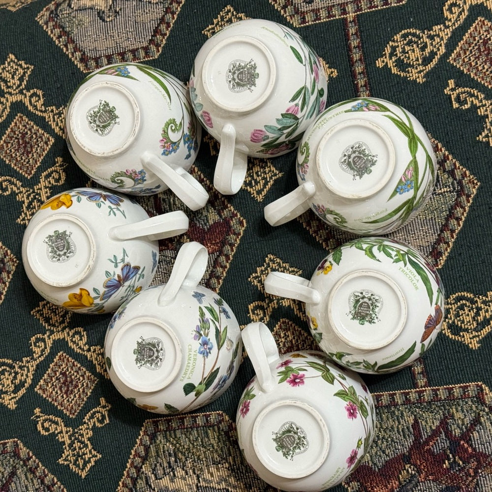 Portmeirion Botanical Garden 7 Cups and 8 Saucers