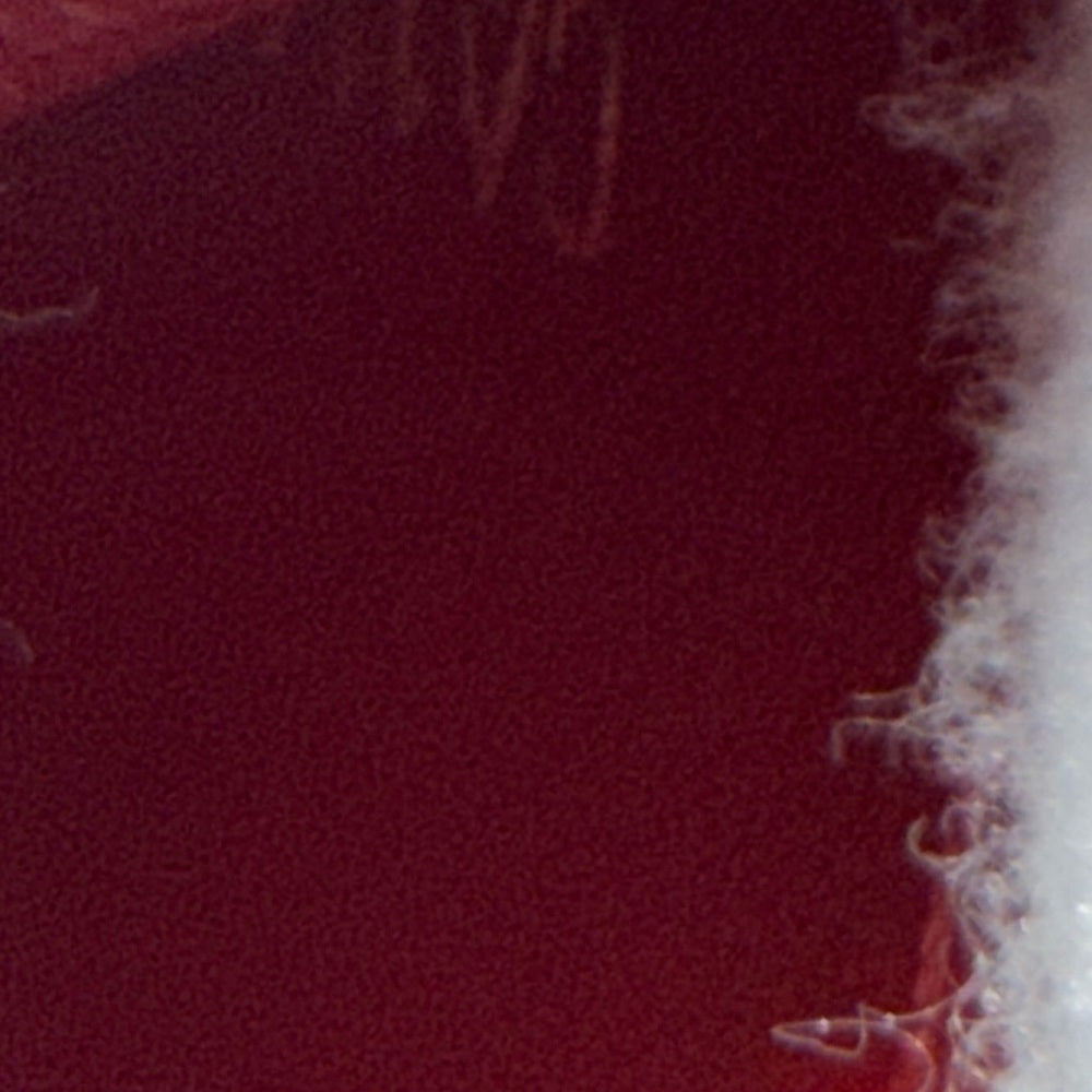 Louis Vuitton Damier Ebene Caissa Wallet