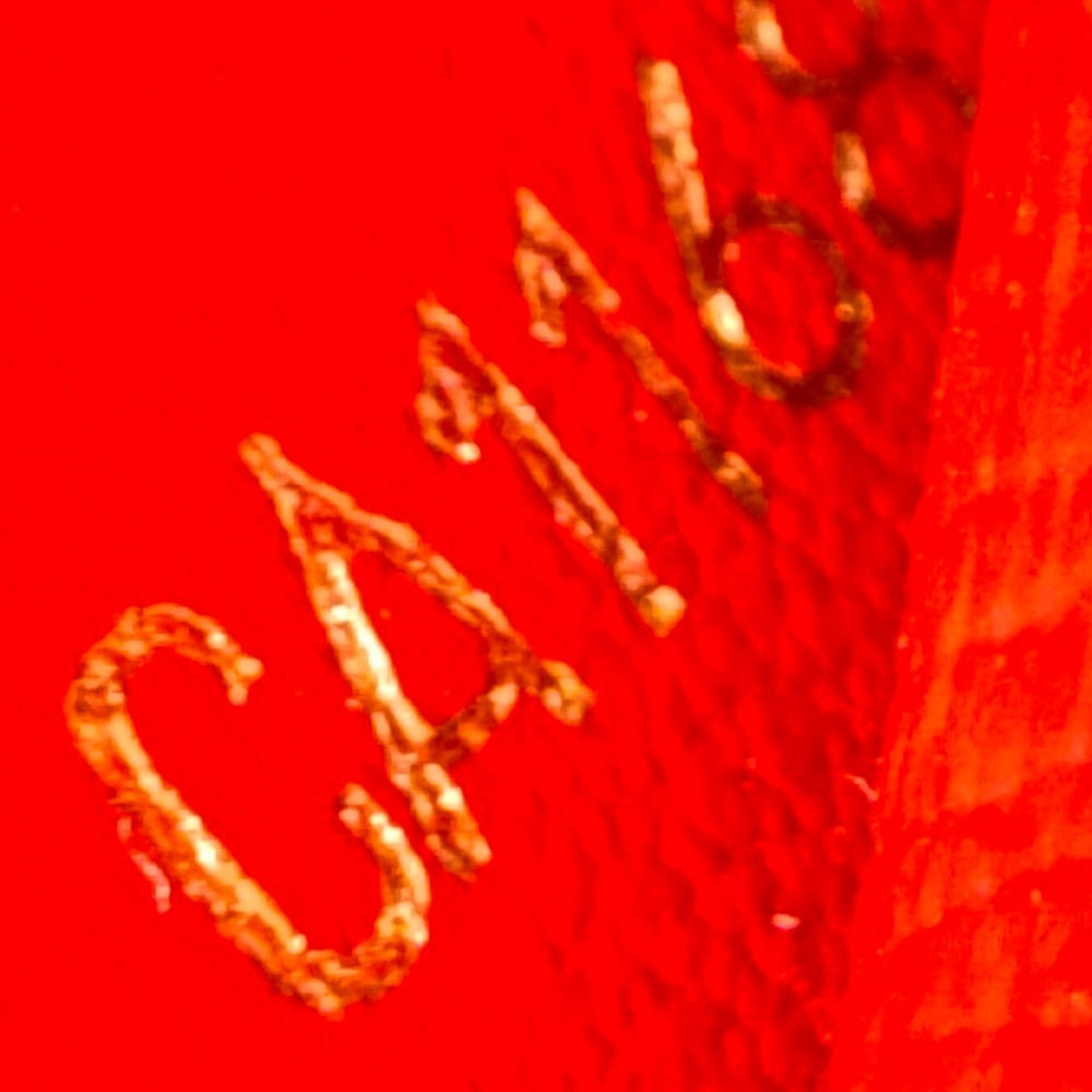 Louis Vuitton Damier Ebene Caissa Wallet